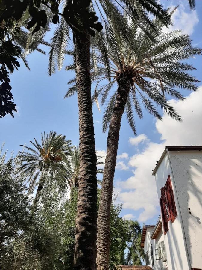 Palm Garden Guest House Нікосія Екстер'єр фото