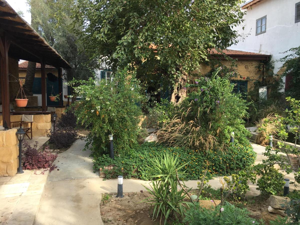 Palm Garden Guest House Нікосія Екстер'єр фото