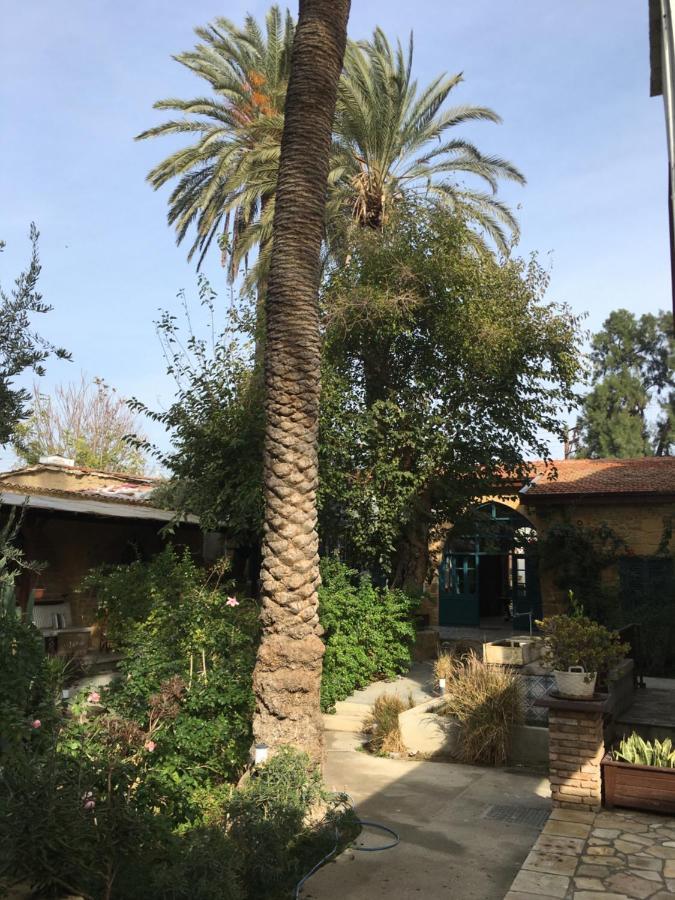 Palm Garden Guest House Нікосія Екстер'єр фото